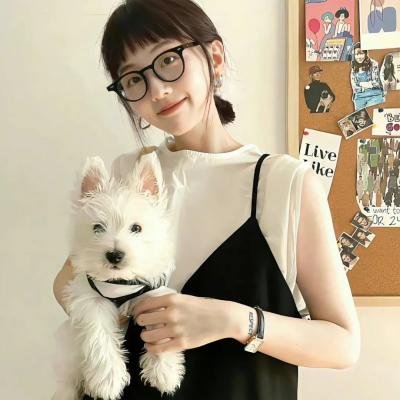 骄傲与偏见